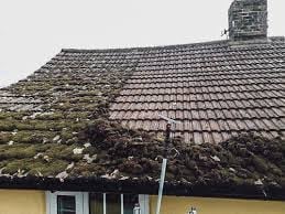 Roof covered with dark tile shingles and green moss growth, with a brick chimney visible and yellow house walls below