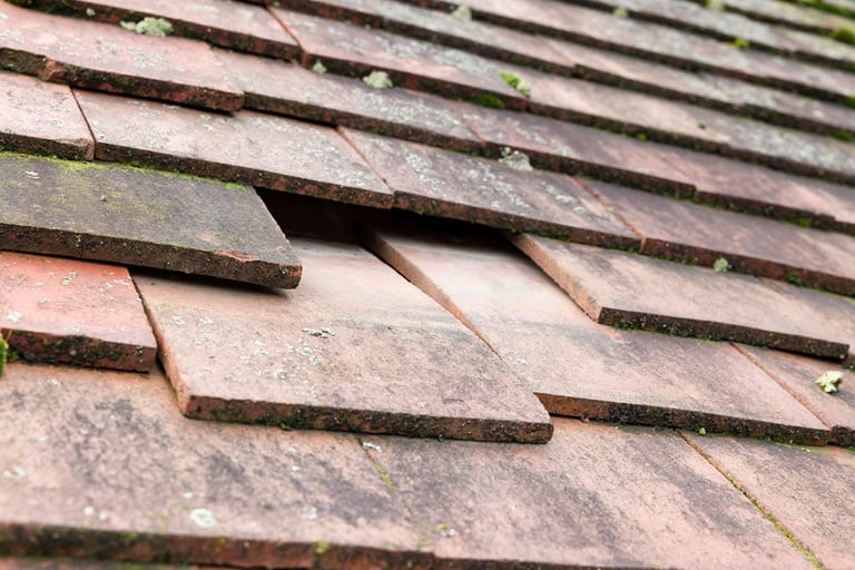 Weathered roof tiles with visible moss and algae growth, showing age and exposure to moisture