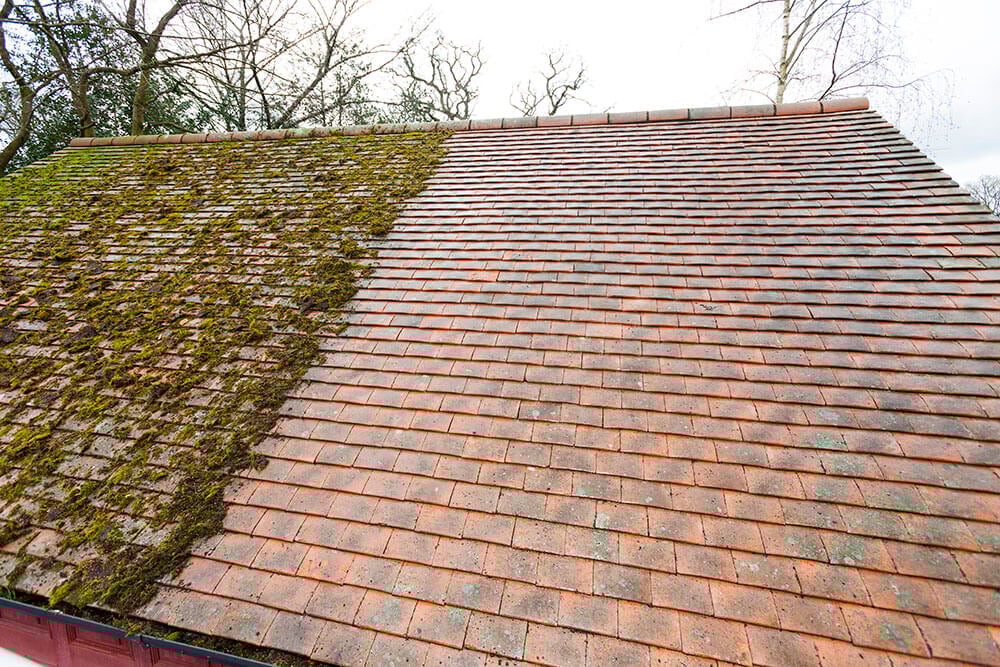 Angled roof with red clay tiles, moss growth on left side, bare tree branches visible above against light sky