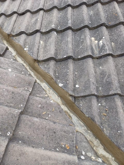 Moss removal from roof