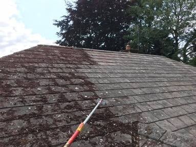 Pitched roof with moss and algae growth, red-tipped cleaning brush visible in foreground